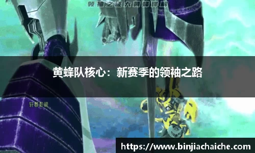 黄蜂队核心：新赛季的领袖之路
